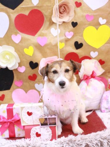 20230209こはるちゃん